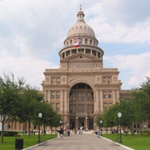 Picture of the Texas State Capital Building with people at ground level - Rose Cannaday for Texas House District 105